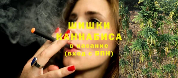 ПСИЛОЦИБИНОВЫЕ ГРИБЫ Абаза