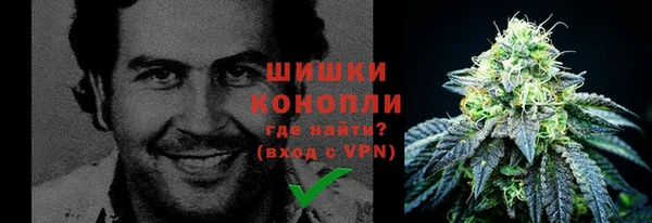 ПСИЛОЦИБИНОВЫЕ ГРИБЫ Абаза