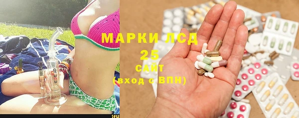 ПСИЛОЦИБИНОВЫЕ ГРИБЫ Абаза
